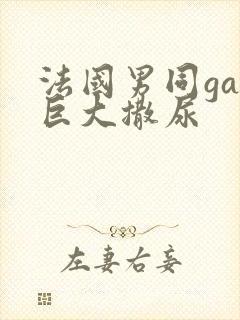 法国男同gay巨大撒尿