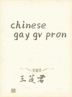 chinese gay gv pron