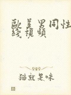 欧美男同性恋在线视频