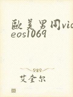 欧美男同videos1069
