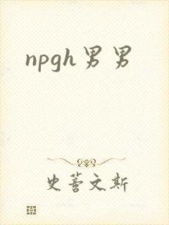 npgh男男