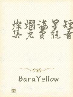 灿烂满星短剧全集免费观看高清封面