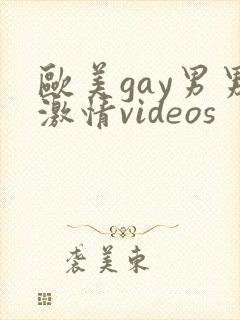 欧美gay男男激情videos