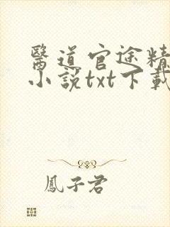 医道官途精校版小说txt下载封面