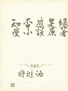 知否应是绿肥红瘦小说原著