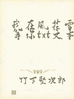 我在风花雪月里等你txt文本