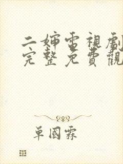 二婶电视剧全集完整免费观看高清