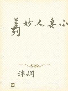 美妙人妻小说系列