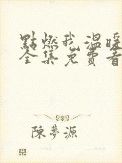 点燃我温暖你在全集免费看电视剧封面