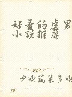 好看的虐男主的小说推荐