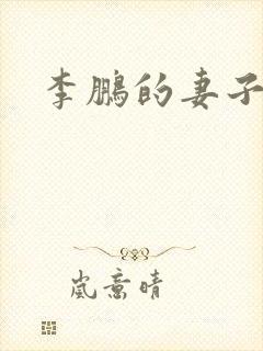 李鹏的妻子朱琳