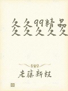 久久99精品久久久久久久hb封面