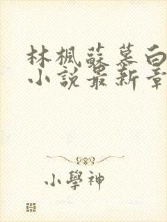 林枫苏慕白穿越小说最新章节更新完了吗