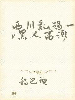 西川乱码一区av黑人高潮