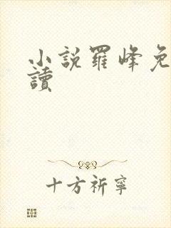 小说罗峰免费阅读