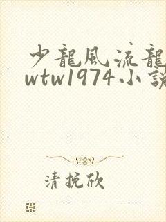 少龙风流龙剑飞wtw1974小说