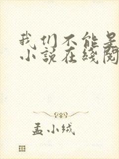 我们不能是朋友小说在线阅读