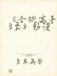 《全职高手 第3季》动漫