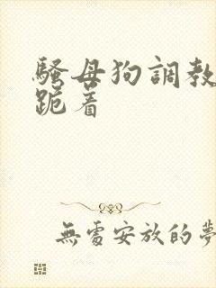 骚母狗调教露出跪着封面