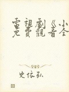 电视剧《小舅》免费观看全集高清