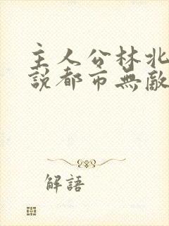 主人公林北的小说都市无敌战神