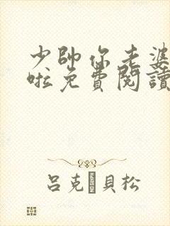 少帅你老婆又跑啦免费阅读