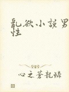 乱欲小说男男同性