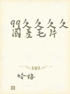 99久久久久久国产毛片