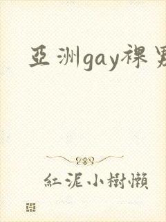 亚洲gay裸男封面