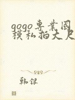 gogo专业国模私拍大尺度