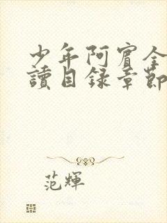 少年阿宾全文阅读目录章节