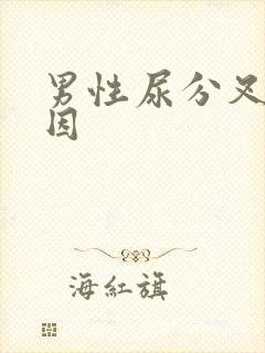 男性尿分叉的病因