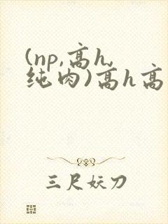 (np,高h,纯肉)高h高辣封面
