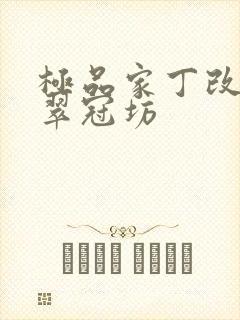 极品家丁改编之翠冠坊封面