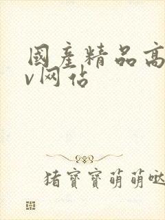 国产精品高清av网站封面