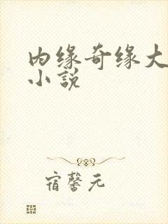 内缘奇缘大团圆小说