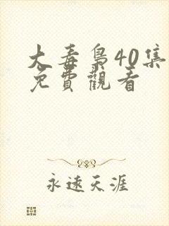 大毒枭40集全免费观看