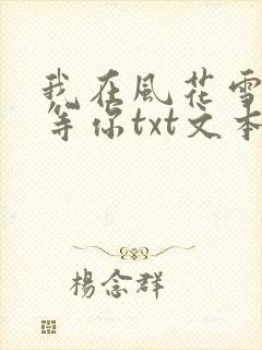 我在风花雪月里等你txt文本封面