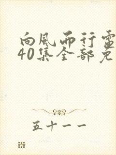 向风而行电视剧40集全部免费观看高清