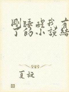 刚睡醒我有老婆了的小说结局封面