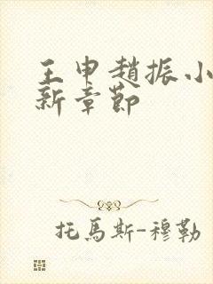 王申赵振小说最新章节封面