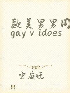 欧美男男同性恋gayⅴidoes