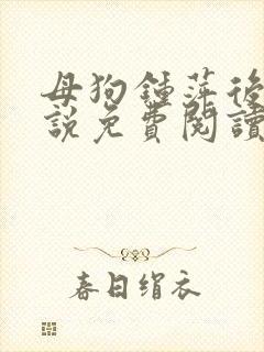 母狗钟萍后传小说免费阅读最新章节