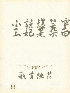 小说爆笑穿越:王妃是朵白莲花柳七白子