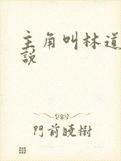 主角叫林道的小说封面