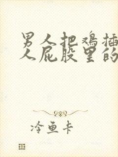 男人把鸡插入女人屁股里的视频下载