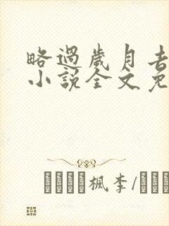 略过岁月去爱你小说全文免费阅读