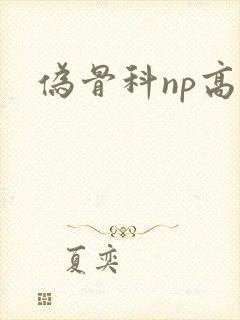 伪骨科np高h封面