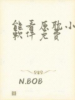 能看原耽小说的软件免费