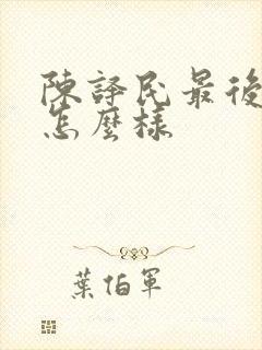 陈译民最后结局怎么样封面